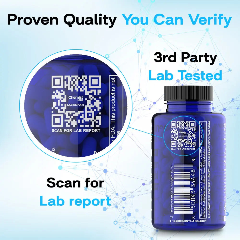 Chemist Labs Spermidine Capsules The Chemist Labs