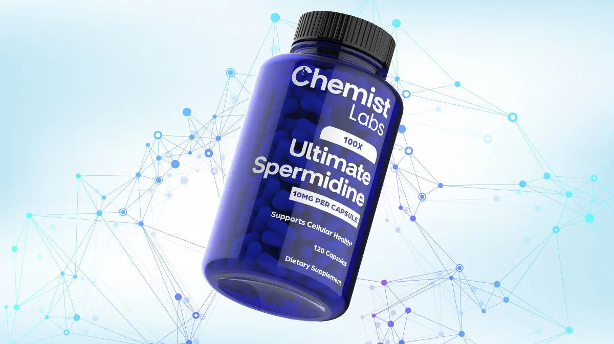 spermidine supplement